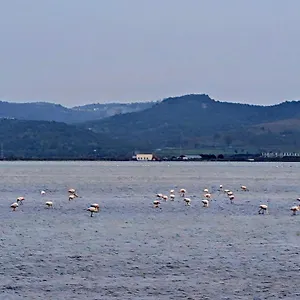 Hostal Adriatic, Vlorë